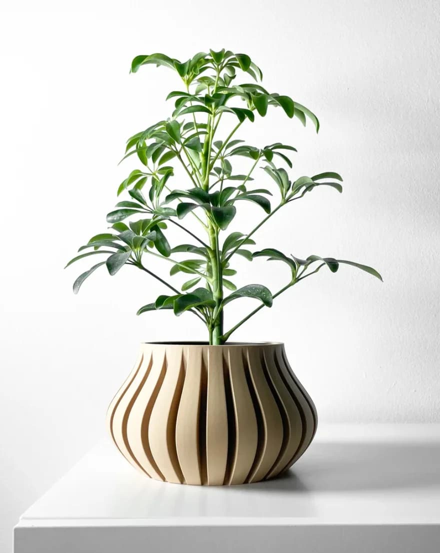 Arca Planter