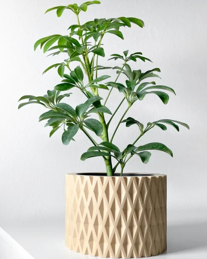 Solace Planter alternate view