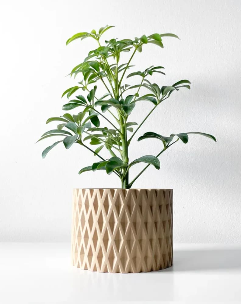Solace Planter
